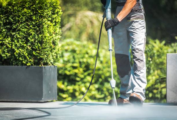 Best Animal Enclosure Cleaning  in Ferndale, PA